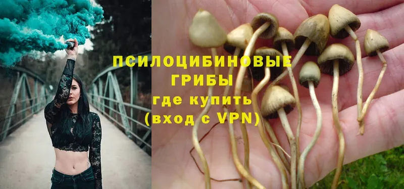 Галлюциногенные грибы MAGIC MUSHROOMS  Ипатово 